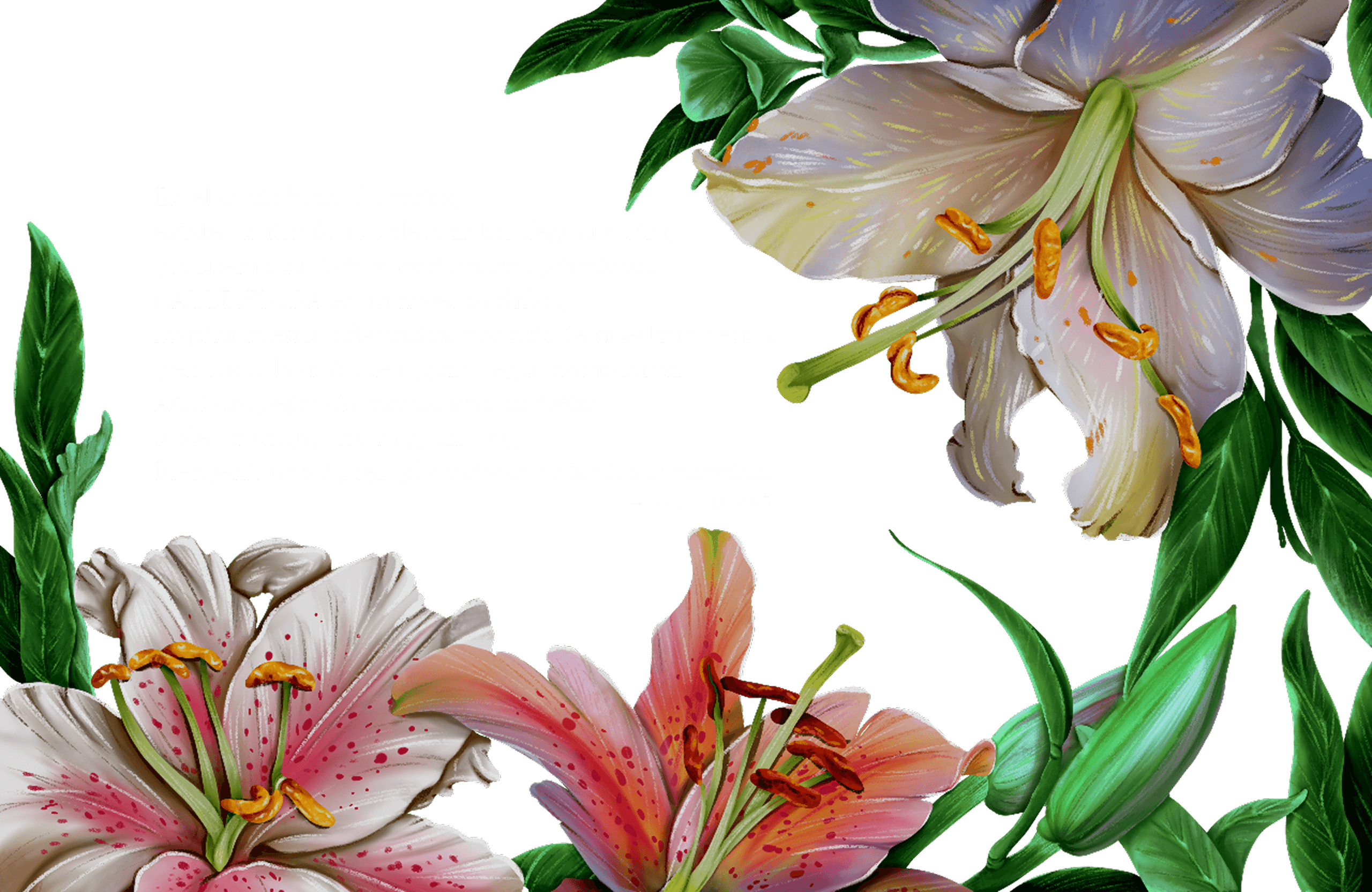 Quote