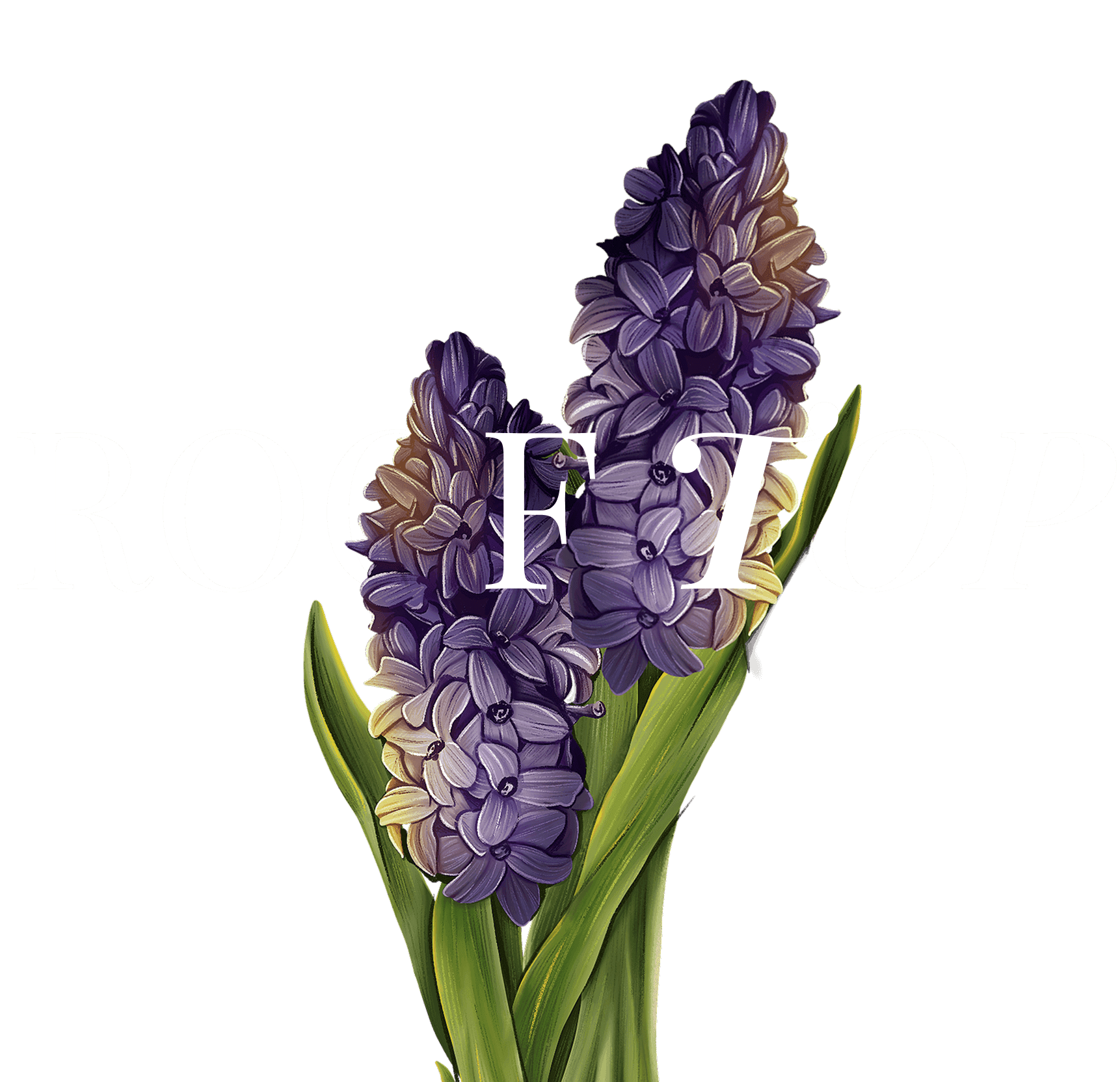 Rooftop