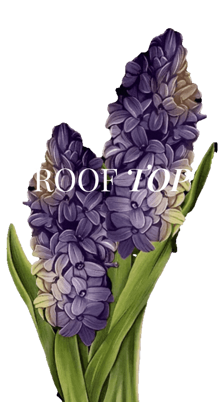 Rooftop